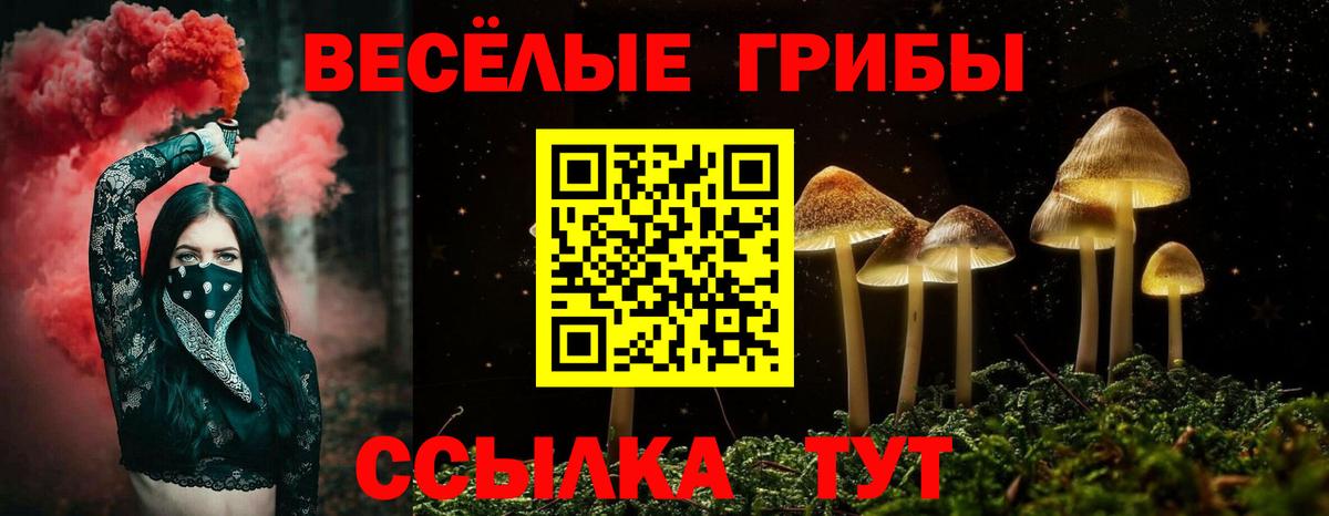 Псилоцибиновые грибы мицелий  хочу наркоту  Анапа  Вход с VPN 